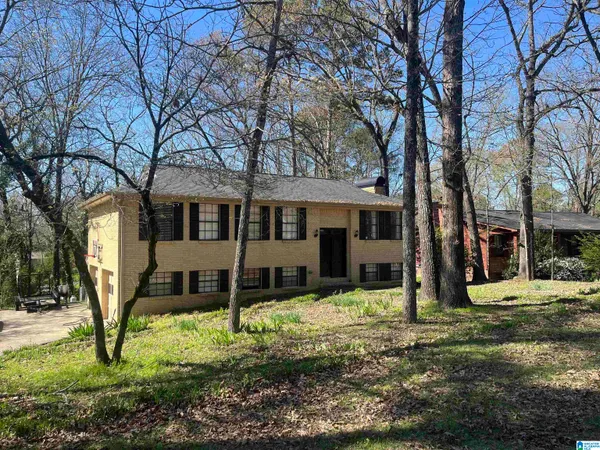 46 Scottsdale Drive